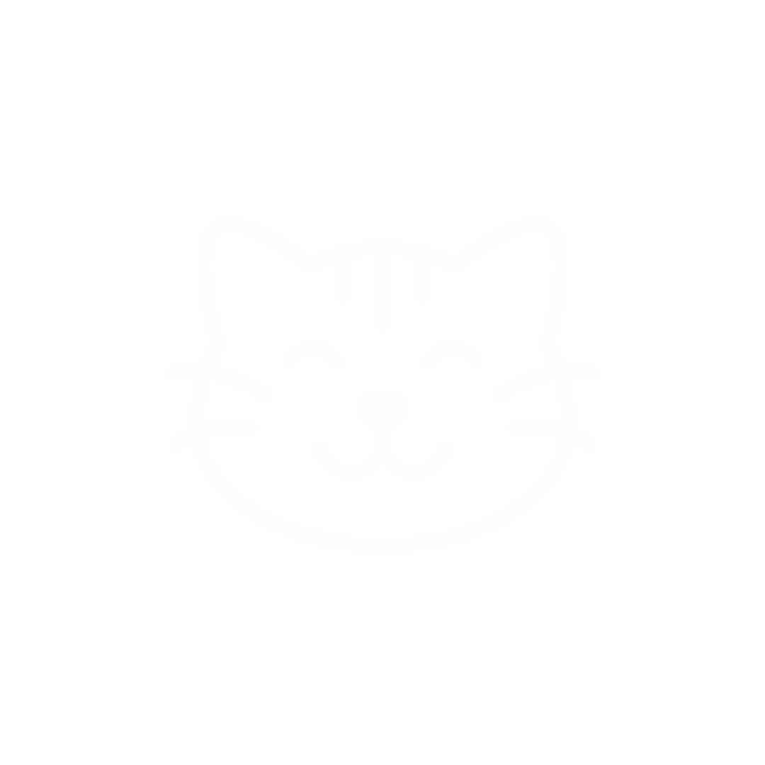 Kucing